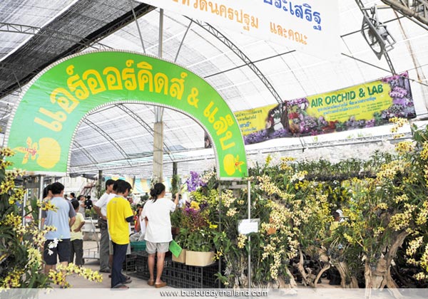 แอร์ออร์คิดส์ แอร์ออร์คิดส์