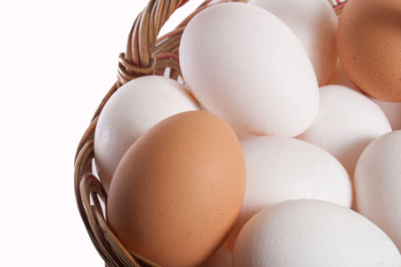ไข่ - egg