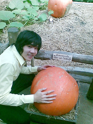 แอมป์ the star 7 แอมป์ the star 7