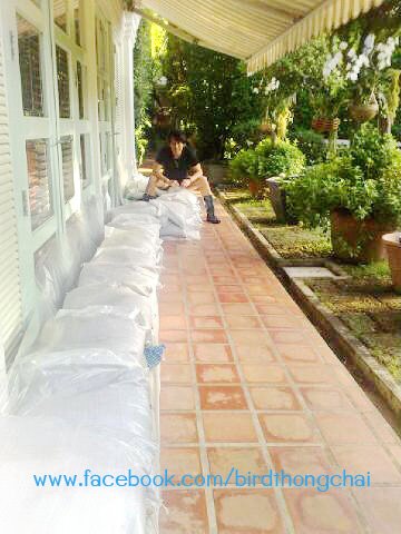 เบิร์ด ธงไชย