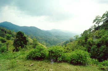 อุทยานแห่งชาติแม่วงก์ อุทยานแห่งชาติแม่วงก์