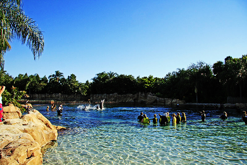 Discovery Cove 