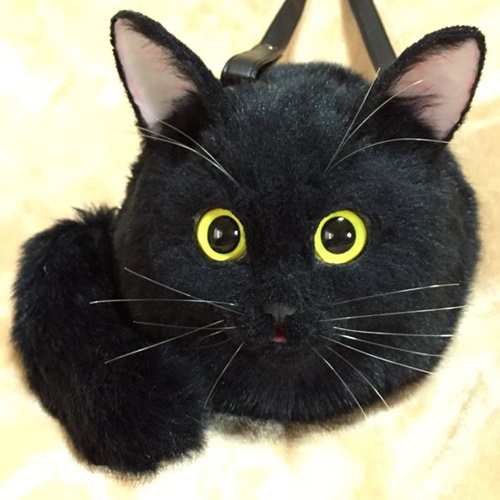 กระเป๋าแมวเหมือนจริง เทรนด์คิวท์ ๆ จากญี่ปุ่นที่ทาสแมวต้องร้องว้าว !