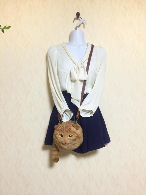 กระเป๋าแมวเหมือนจริง เทรนด์คิวท์ ๆ จากญี่ปุ่นที่ทาสแมวต้องร้องว้าว ! 