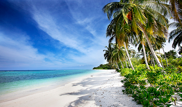 mentawaiislands mentawaiislands