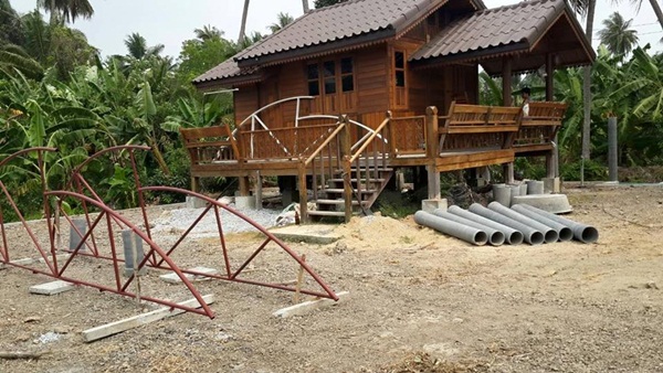 วิธีปลูกเมลอน วิธีปลูกเมลอน