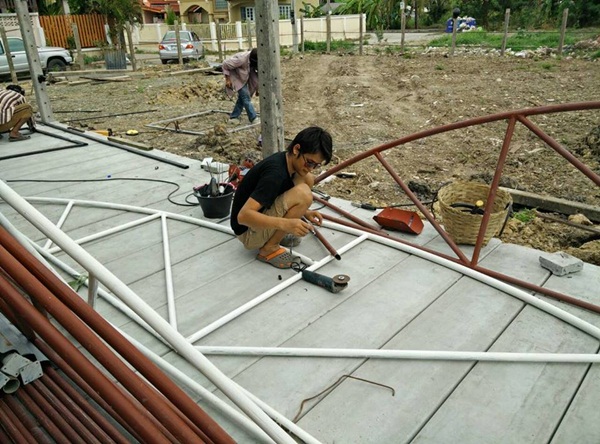 วิธีปลูกเมลอน วิธีปลูกเมลอน