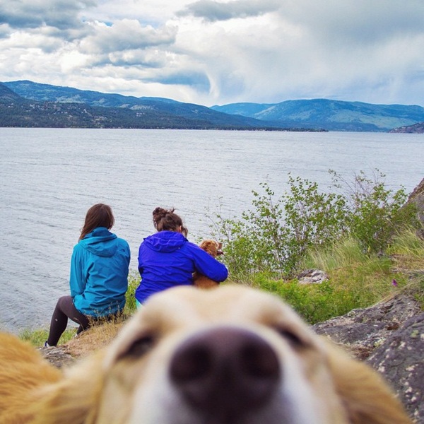 10 ภาพเมื่อมีหมาเป็นเพื่อนเดินทาง มันเลยดีแบบนี้นี่เอง