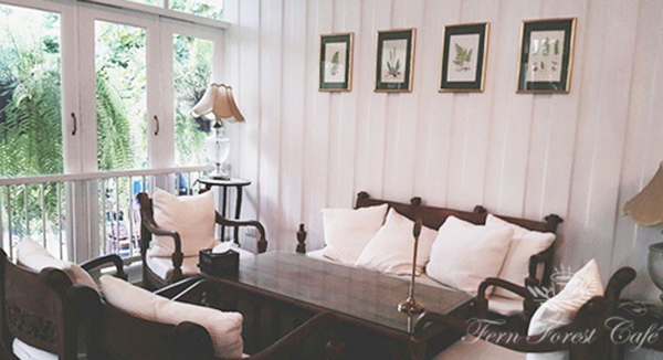 รีโนเวทบ้านเก่าอายุ 44 ปี เป็นร้านกาแฟในฝันกลางสวนเฟิร์น รีโนเวทบ้านเก่าอายุ 44 ปี เป็นร้านกาแฟในฝันกลางสวนเฟิร์น