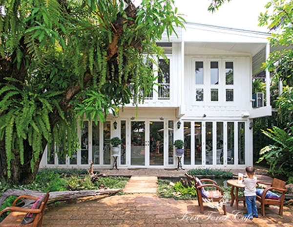 รีโนเวทบ้านเก่าอายุ 44 ปี เป็นร้านกาแฟในฝันกลางสวนเฟิร์น รีโนเวทบ้านเก่าอายุ 44 ปี เป็นร้านกาแฟในฝันกลางสวนเฟิร์น