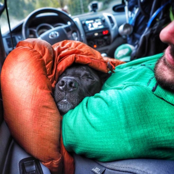 ทริปเที่ยวสุดเท่ระหว่างนายและน้องหมา ท่องโลกกว้างด้วยรถยนต์คู่ใจ
