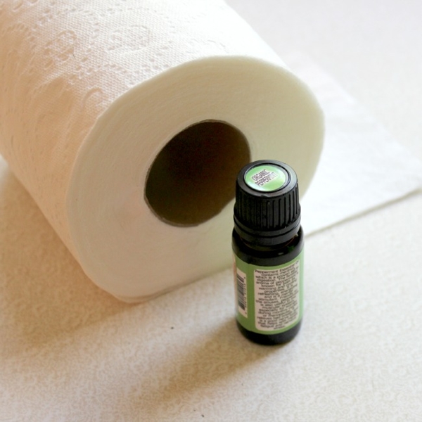 10 DIY เครื่องหอมสูตรธรรมชาติ ดับกลิ่นเหม็นในห้องน้ำได้ชะงัก ! 10 DIY เครื่องหอมสูตรธรรมชาติ ดับกลิ่นเหม็นในห้องน้ำได้ชะงัก !
