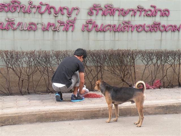 ตึ๋ง อัศจรรย์จักรวาล ตึ๋ง อัศจรรย์จักรวาล