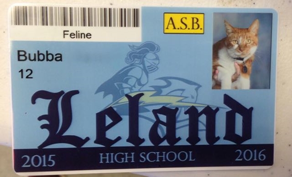 บัตรประจำตัวนักเรียนแมว