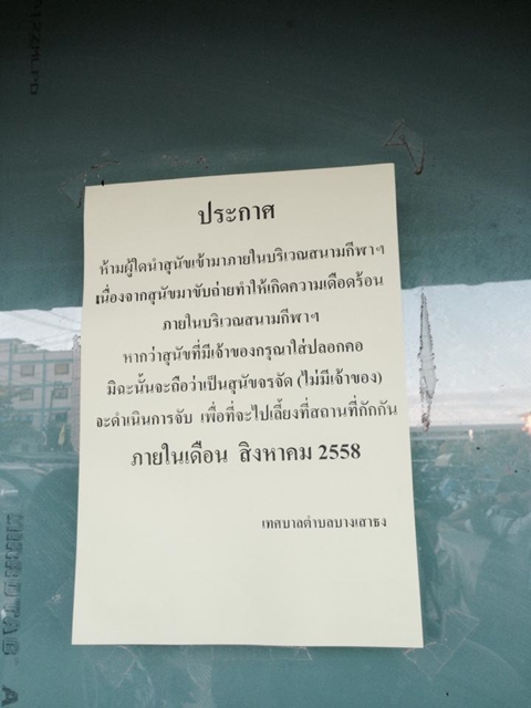 วอนผู้ใจบุญช่วยเหลือสุนัขจรจัดนับ 100 ตัว ที่ตลาดเคหะบางพลี ก่อนถูกจับสิ้นเดือนนี้ วอนผู้ใจบุญช่วยเหลือสุนัขจรจัดนับ 100 ตัว ที่ตลาดเคหะบางพลี ก่อนถูกจับสิ้นเดือนนี้
