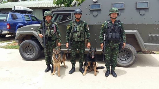 แห่กดไลค์ ! ภาพสุนัขทหารนั่งเตือนภัยระเบิด 5 ลูก จน EOD กู้สำเร็จ