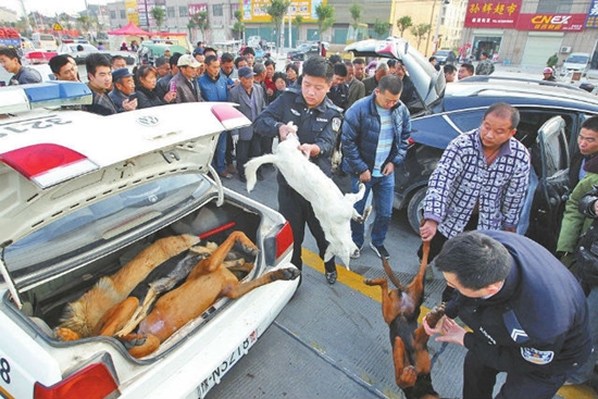 ชาวบ้านฉงน คนขับรถเก๋งรีบวิ่งหนีหลังรถชน เปิดท้ายรถผงะเจอซากสุนัขอัดแน่น ชาวบ้านฉงน คนขับรถเก๋งรีบวิ่งหนีหลังรถชน เปิดท้ายรถผงะเจอซากสุนัขอัดแน่น