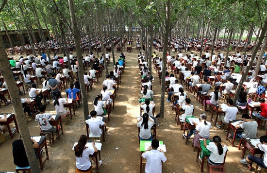 โรงเรียนจีนเปิดป่าทำห้องสอบใหญ่ยักษ์