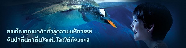 ที่เที่ยวโดน ๆ สำหรับเด็ก ๆ ที่เที่ยวโดน ๆ สำหรับเด็ก ๆ