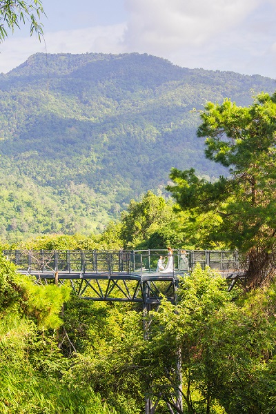 Canopy Walkway Canopy Walkway