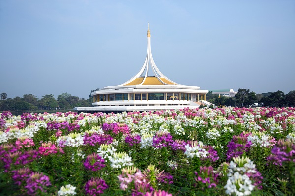 เที่ยวสวนดอกไม้ในเมืองไทย