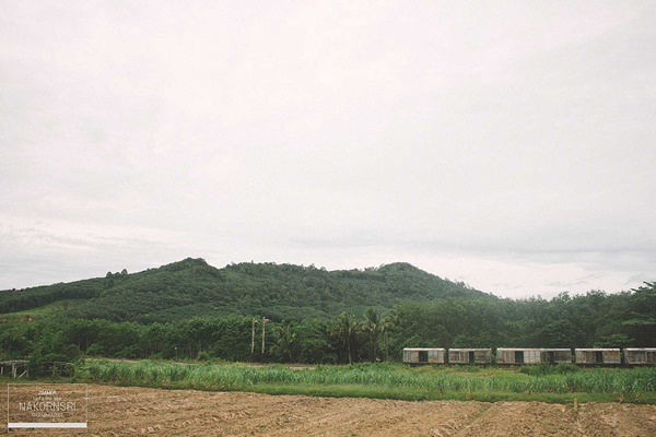 ขึ้นรถไฟไปนครศรีฯ ปล่อยอารมณ์ชิล ๆ ที่คีรีวง