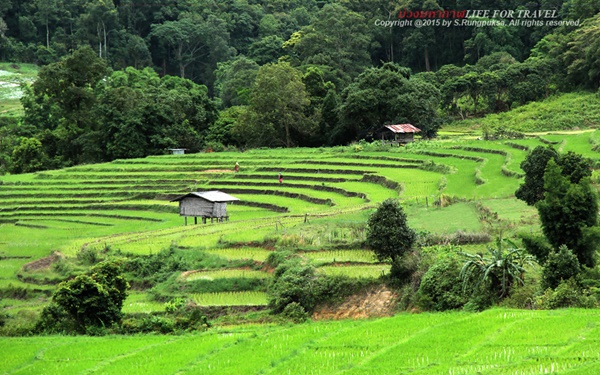 ที่นี่เมืองไทย ที่นี่เมืองไทย