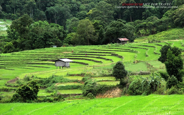 ที่นี่เมืองไทย