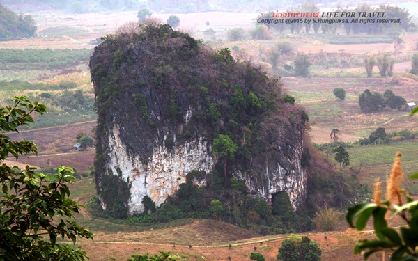 ที่นี่เมืองไทย