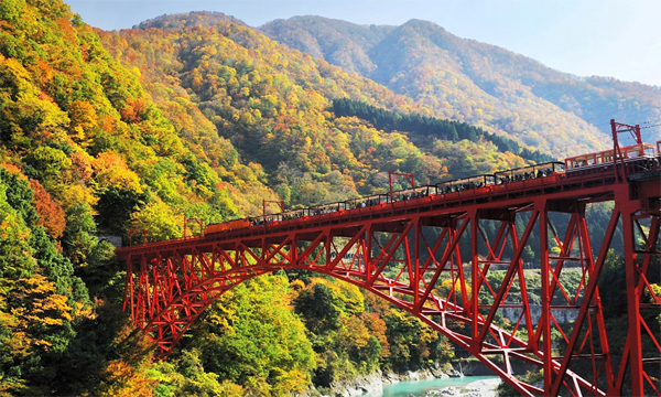 ตะลุยเที่ยวทั่วญี่ปุ่นด้วย 10 เส้นทางรถไฟปู๊น...ปู๊น 
