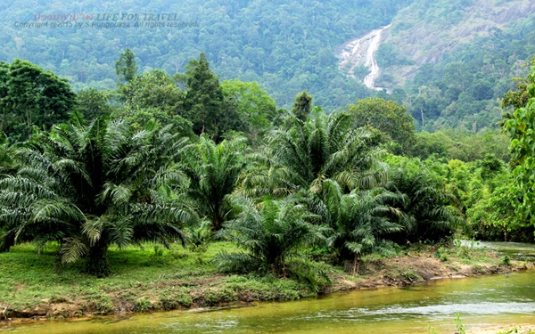 หลงเสน่ห์ “ตรัง” เมืองสงบเงียบ ธรรมชาติครบถ้วน หลงเสน่ห์ “ตรัง” เมืองสงบเงียบ ธรรมชาติครบถ้วน