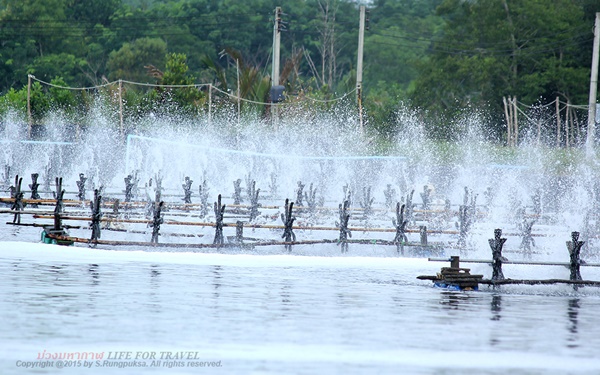 หลงเสน่ห์ “ตรัง” เมืองสงบเงียบ ธรรมชาติครบถ้วน หลงเสน่ห์ “ตรัง” เมืองสงบเงียบ ธรรมชาติครบถ้วน