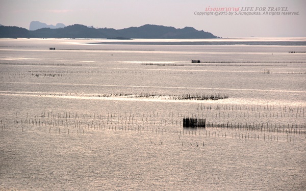 หลงเสน่ห์ “ตรัง” เมืองสงบเงียบ ธรรมชาติครบถ้วน หลงเสน่ห์ “ตรัง” เมืองสงบเงียบ ธรรมชาติครบถ้วน
