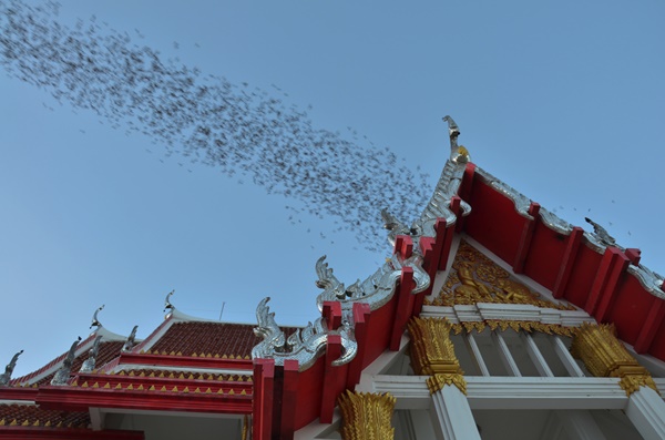 ที่เที่ยวอันซีนไทยแลนด์ ที่เที่ยวอันซีนไทยแลนด์