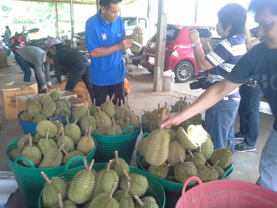 ทุเรียนไฮโซ หลงลับแล รับสั่งทางโซเชียลจัดส่งทั่วไทย คาดสะพัด 2 พันล้าน ทุเรียนไฮโซ หลงลับแล รับสั่งทางโซเชียลจัดส่งทั่วไทย คาดสะพัด 2 พันล้าน