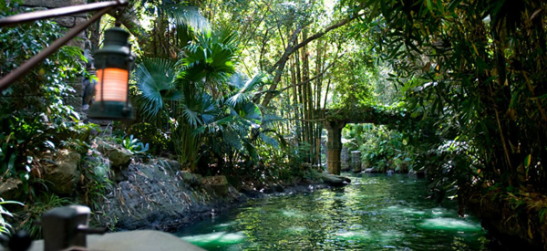 เดอะร็อค แสดงนำ Jungle Cruise หนังใหม่จาก Disney เดอะร็อค แสดงนำ Jungle Cruise หนังใหม่จาก Disney