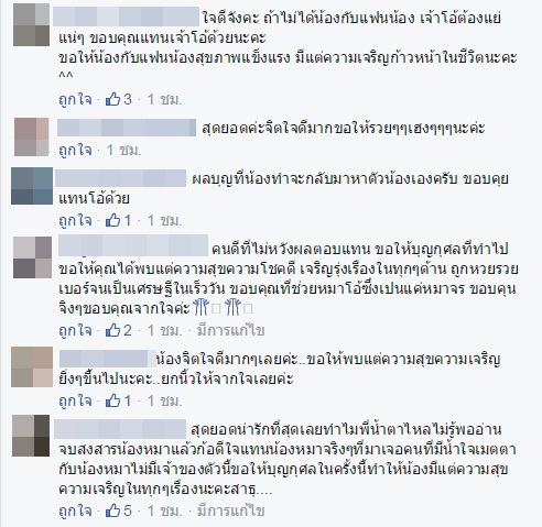 หมาจรจัดอ้วกเป็นเลือด