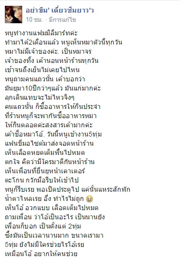 หมาจรจัดอ้วกเป็นเลือด