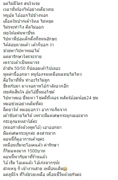 หมาจรจัดอ้วกเป็นเลือด