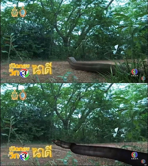 บื้องหลังการทำ CG ละคร นาคี บื้องหลังการทำ CG ละคร นาคี