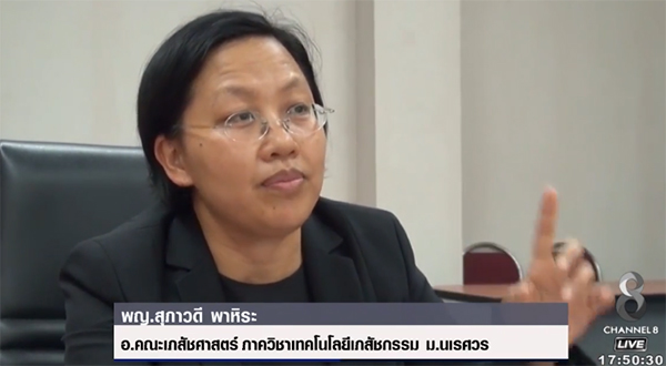 ค้นพบสารยับยั้งเติบโตมะเร็ง จากยาง ต้นรัก ค้นพบสารยับยั้งเติบโตมะเร็ง จากยาง ต้นรัก