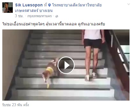 เจ้าลอยด์ หมาชิบะ เจ้าลอยด์ หมาชิบะ