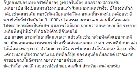 เจ้าลอยด์ หมาชิบะ เจ้าลอยด์ หมาชิบะ