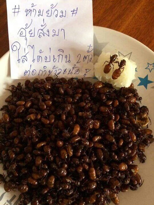 ซูชิแมงมัน ซูชิแมงมัน