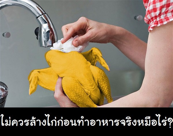 ไม่ควรล้างเนื้อไก่ ก่อนนำมาปรุงอาหาร ไม่ควรล้างเนื้อไก่ ก่อนนำมาปรุงอาหาร
