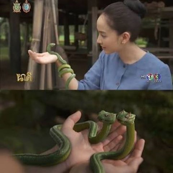 นาคี แรงไม่เลิก แฟนละครลุ้นมีต่อภาค 2 นาคี แรงไม่เลิก แฟนละครลุ้นมีต่อภาค 2