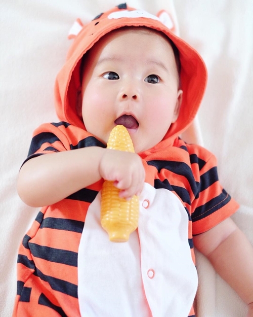 น้องเป่าเปา น้องเป่าเปา