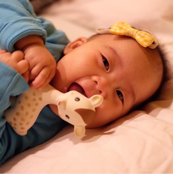 น้องเป่าเปา น้องเป่าเปา