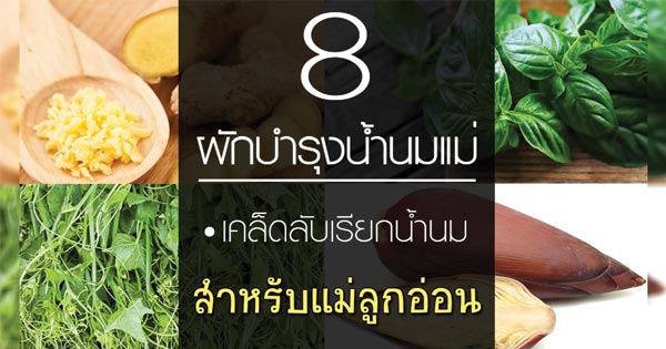 อาหารบำรุงน้ำนมแม่ อาหารบำรุงน้ำนมแม่