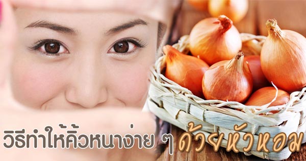วิธีทำให้คิ้วหนา วิธีทำให้คิ้วหนา